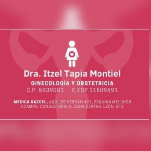 Itzel Tapia Montiel